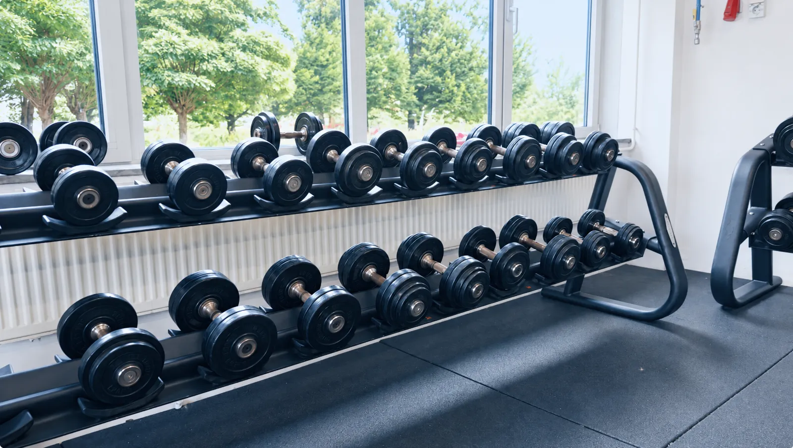De gym